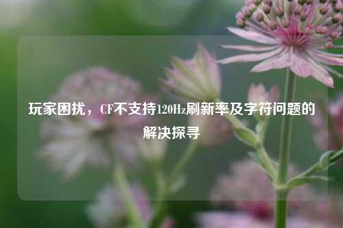 玩家困扰，CF不支持120Hz刷新率及字符问题的解决探寻