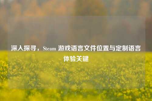 深入探寻，Steam 游戏语言文件位置与定制语言体验关键