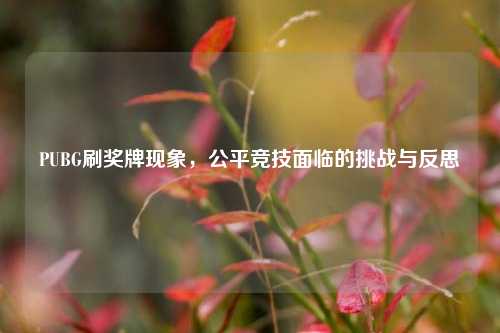 PUBG刷奖牌现象,公平竞技面临的挑战与反思