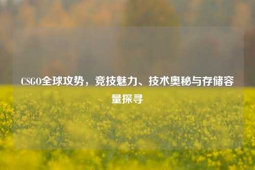 CSGO全球攻势，竞技魅力、技术奥秘与存储容量探寻