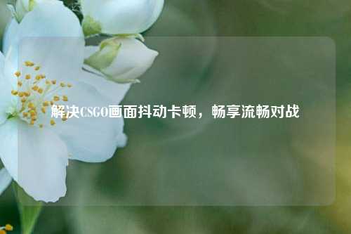 解决CSGO画面抖动卡顿，畅享流畅对战