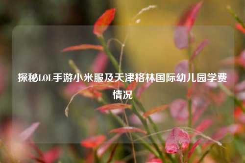 探秘LOL手游小米服及天津格林国际幼儿园学费情况