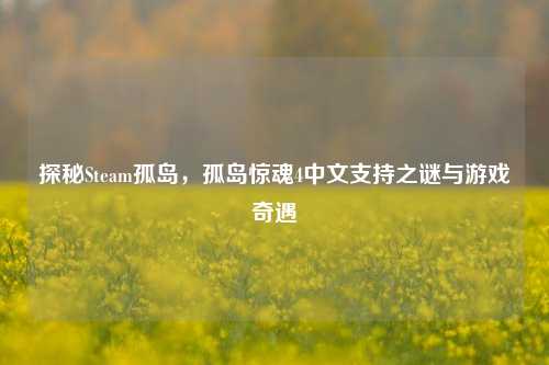 探秘Steam孤岛，孤岛惊魂4中文支持之谜与游戏奇遇