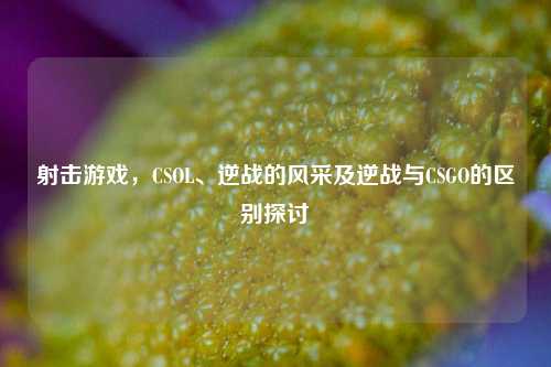 射击游戏，CSOL、逆战的风采及逆战与CSGO的区别探讨