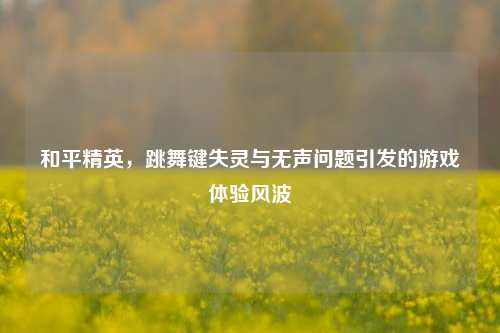 和平精英,跳舞键失灵与无声问题引发的游戏体验风波