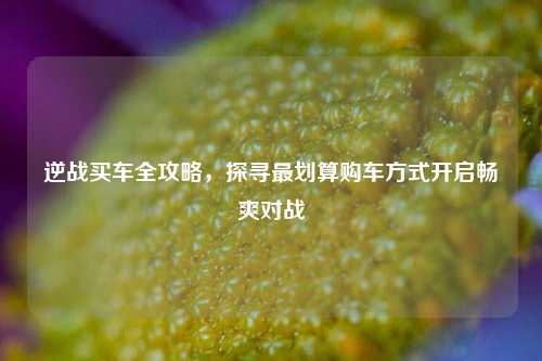 逆战买车全攻略,探寻最划算购车方式开启畅爽对战