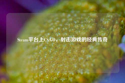 Steam平台上CS:GO，射击游戏的经典传奇
