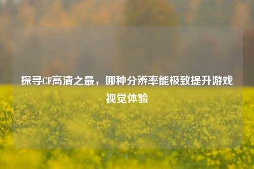 探寻CF高清之最，哪种分辨率能极致提升游戏视觉体验