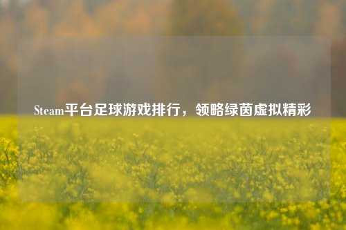 Steam平台足球游戏排行,领略绿茵虚拟精彩