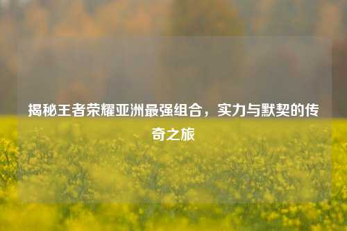 揭秘王者荣耀亚洲最强组合，实力与默契的传奇之旅