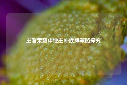 王者荣耀中地主补底牌策略探究
