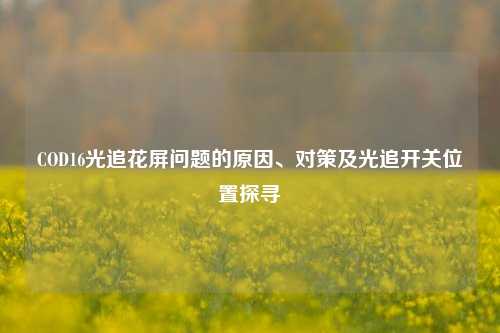 COD16光追花屏问题的原因、对策及光追开关位置探寻