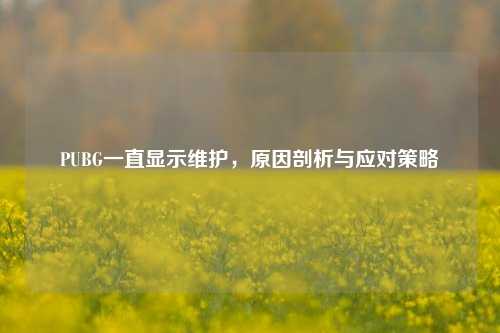 PUBG一直显示维护，原因剖析与应对策略
