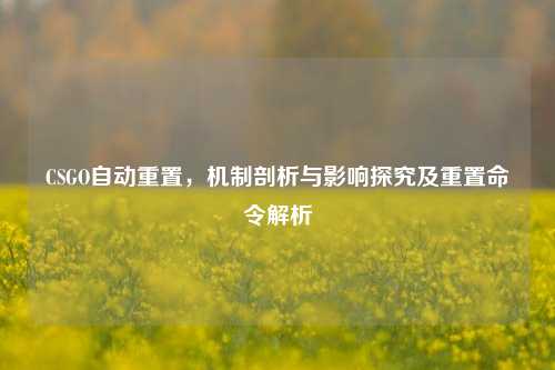 CSGO自动重置，机制剖析与影响探究及重置命令解析