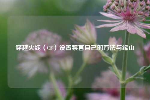 穿越火线（CF）设置禁言自己的方法与缘由