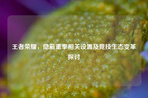 王者荣耀，隐蔽重拳相关设置及竞技生态变革探讨