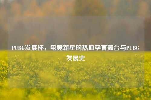 PUBG发展杯，电竞新星的热血孕育舞台与PUBG发展史