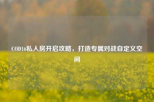 COD16私人房开启攻略，打造专属对战自定义空间
