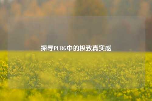 探寻PUBG中的极致真实感