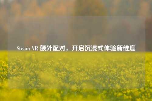 Steam VR 额外配对，开启沉浸式体验新维度