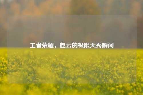 王者荣耀,赵云的极限天秀瞬间