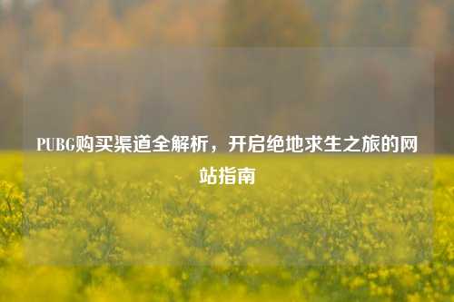 PUBG购买渠道全解析,开启绝地求生之旅的网站指南