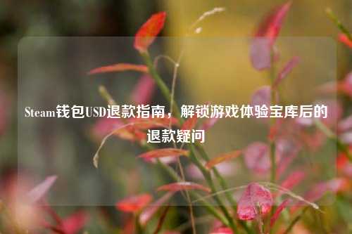 Steam钱包USD退款指南,解锁游戏体验宝库后的退款疑问