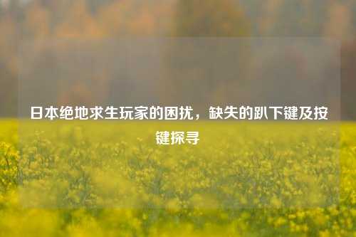 日本绝地求生玩家的困扰，缺失的趴下键及按键探寻