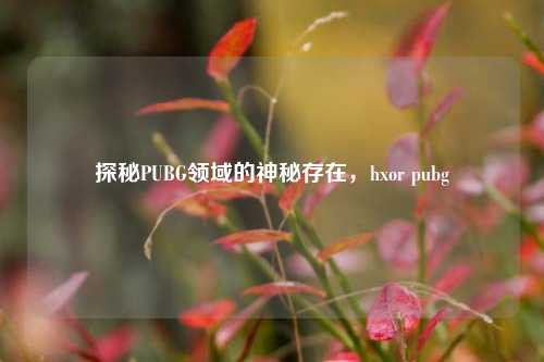 探秘PUBG领域的神秘存在,hxor pubg