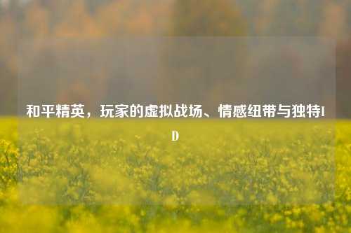 和平精英,玩家的虚拟战场、情感纽带与独特ID