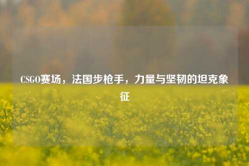 CSGO赛场,法国步枪手,力量与坚韧的坦克象征