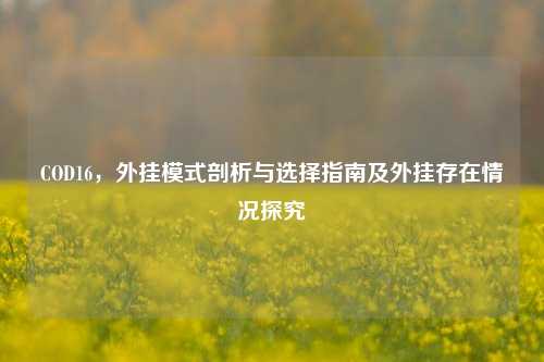 COD16,外挂模式剖析与选择指南及外挂存在情况探究