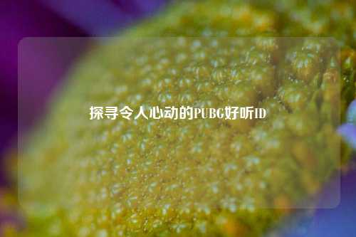 探寻令人心动的PUBG好听ID