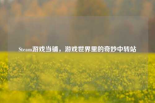 Steam游戏当铺,游戏世界里的奇妙中转站