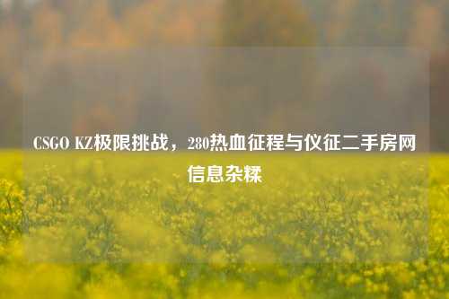 CSGO KZ极限挑战，280热血征程与仪征二手房网信息杂糅