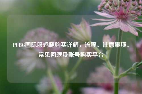 PUBG国际服鸡腿购买详解,流程、注意事项、常见问题及账号购买平台