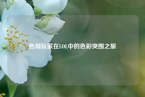 色弱玩家在LOL中的色彩突围之旅