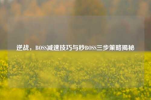 逆战,BOSS减速技巧与秒BOSS三步策略揭秘