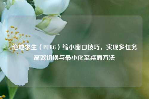 绝地求生（PUBG）缩小窗口技巧，实现多任务高效切换与最小化至桌面方法