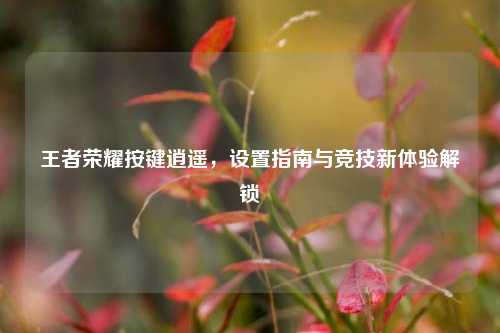 王者荣耀按键逍遥，设置指南与竞技新体验解锁