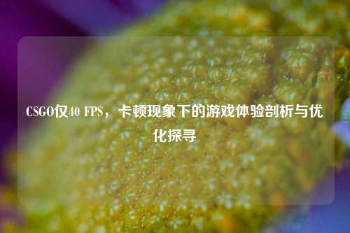 CSGO仅40 FPS,卡顿现象下的游戏体验剖析与优化探寻