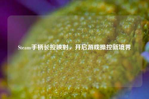 Steam手柄长按映射，开启游戏操控新境界