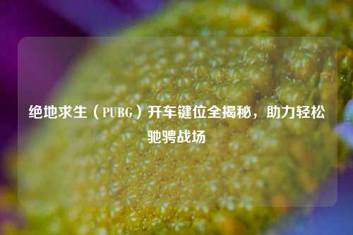 绝地求生（PUBG）开车键位全揭秘，助力轻松驰骋战场