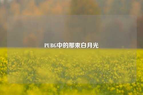 PUBG中的那束白月光