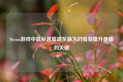 Steam游戏中鼠标速度调至最大仍慢及提升体验的关键