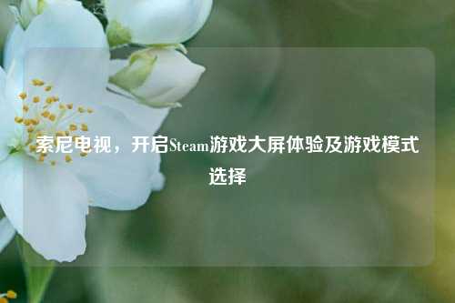 索尼电视，开启Steam游戏大屏体验及游戏模式选择