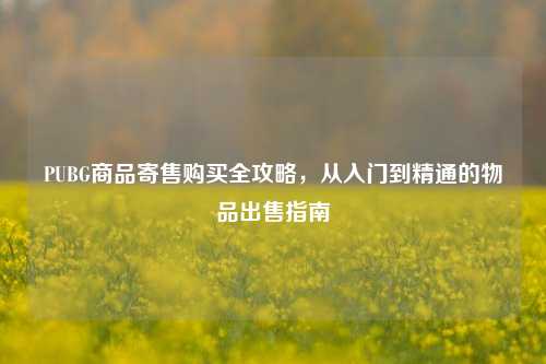 PUBG商品寄售购买全攻略，从入门到精通的物品出售指南