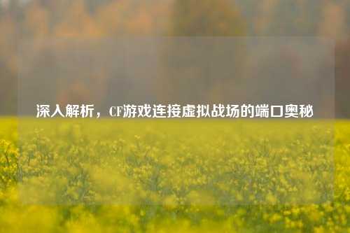 深入解析，CF游戏连接虚拟战场的端口奥秘
