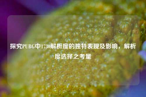 探究PUBG中1730解析度的独特表现及影响,解析度选择之考量