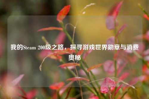 我的Steam 200级之路，探寻游戏世界勋章与消费奥秘
